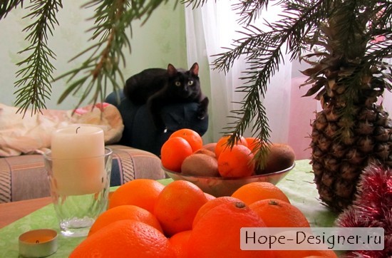 http://hope-designer.ru/wp-content/uploads/2012/01/IMG_1247.jpg